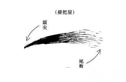 眉毛看相算命图解，黄薄眉注定会孤独一生