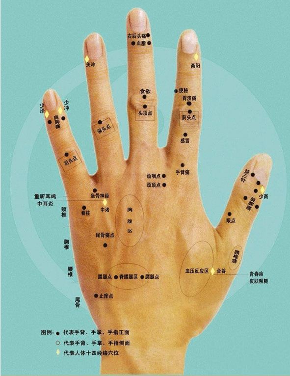 （李向东）女性右手的手相特征在手相学中具有解读意义